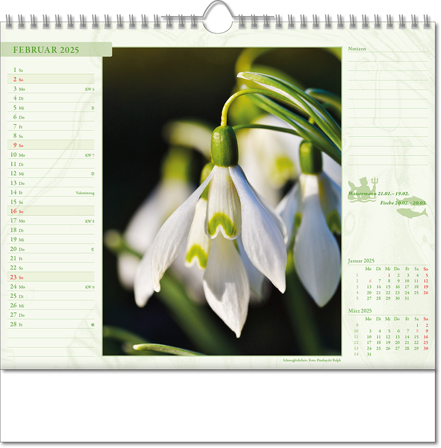 Kalender "Blütenwelt" im Format 30 x 29 cm, mit Wire-O-Bindung und verlängerter Rückwand