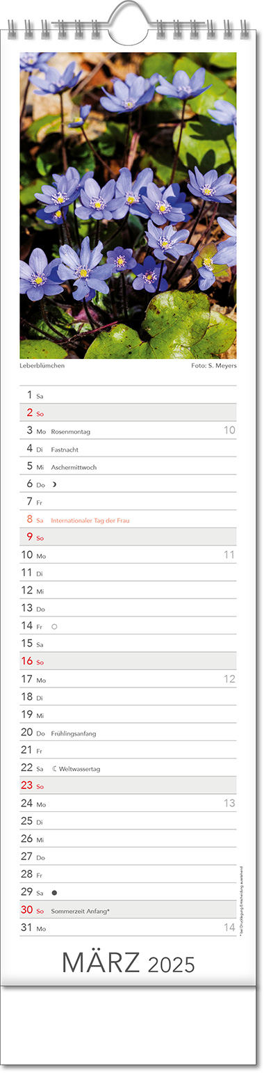 Kalender "Tee & Heiltees" im Format 13 x 52,5 cm, mit Wire-O Bindung und verlängerter Rückwand
