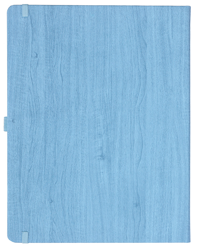 Notizbuch Style Large im Format 19x25cm, Inhalt liniert, Einband Woody in der Farbe Sky