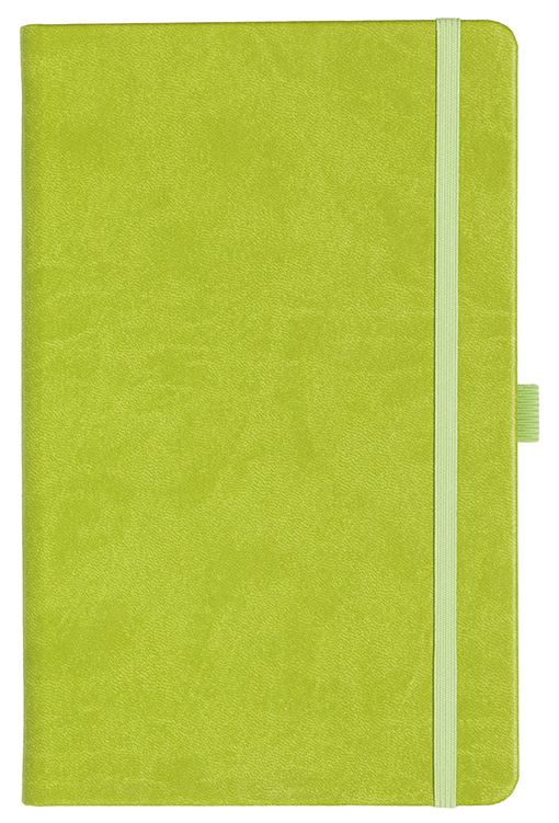 Notizbuch Style Medium im Format 13x21cm, Inhalt blanco, Einband Slinky in der Farbe Lime