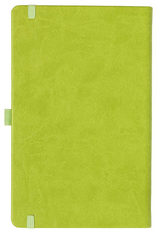 Notizbuch Style Medium im Format 13x21cm, Inhalt kariert, Einband Slinky in der Farbe Lime