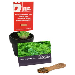 Pflanz-Stick mit Samen - Petersilie, 1 Seite gelasert