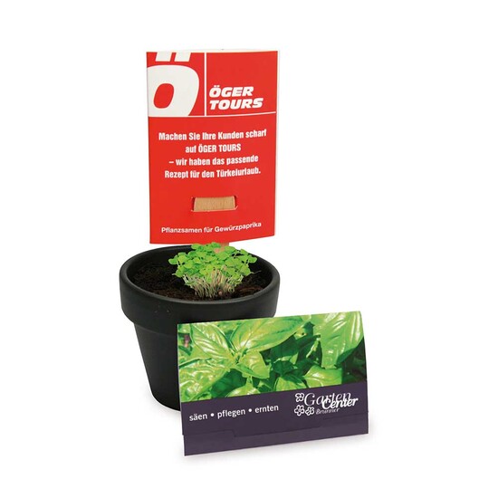 Pflanz-Stick mit Samen - Schnittlauch, 2 Seiten gelasert