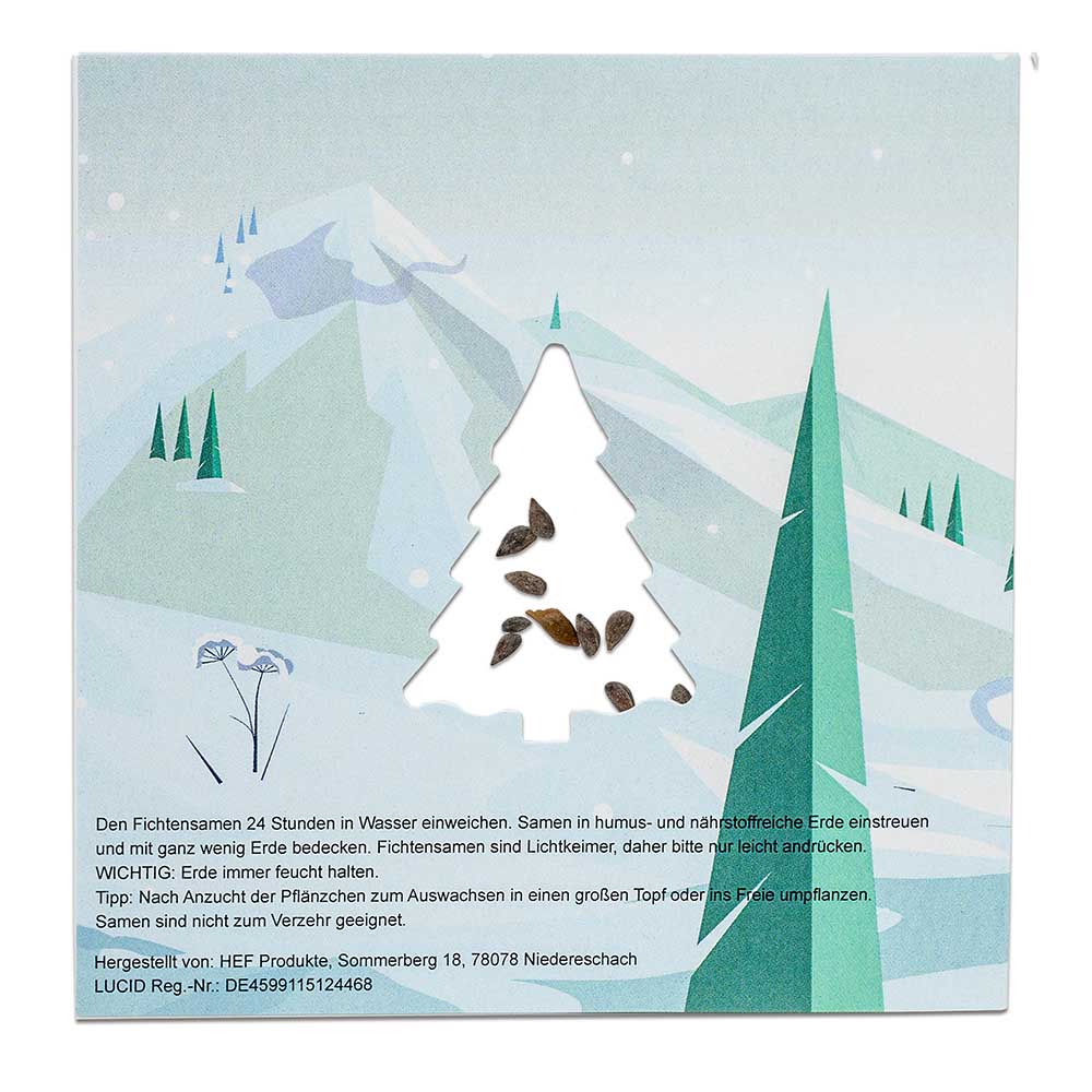 Samen-Karte Tannenbaum - Fichte