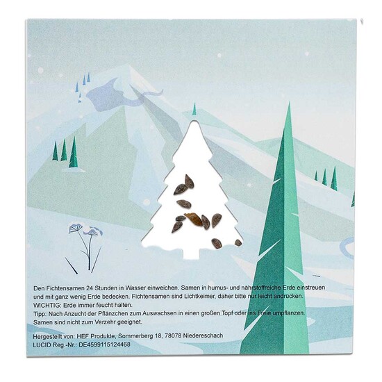 Samen-Karte Tannenbaum - Fichte