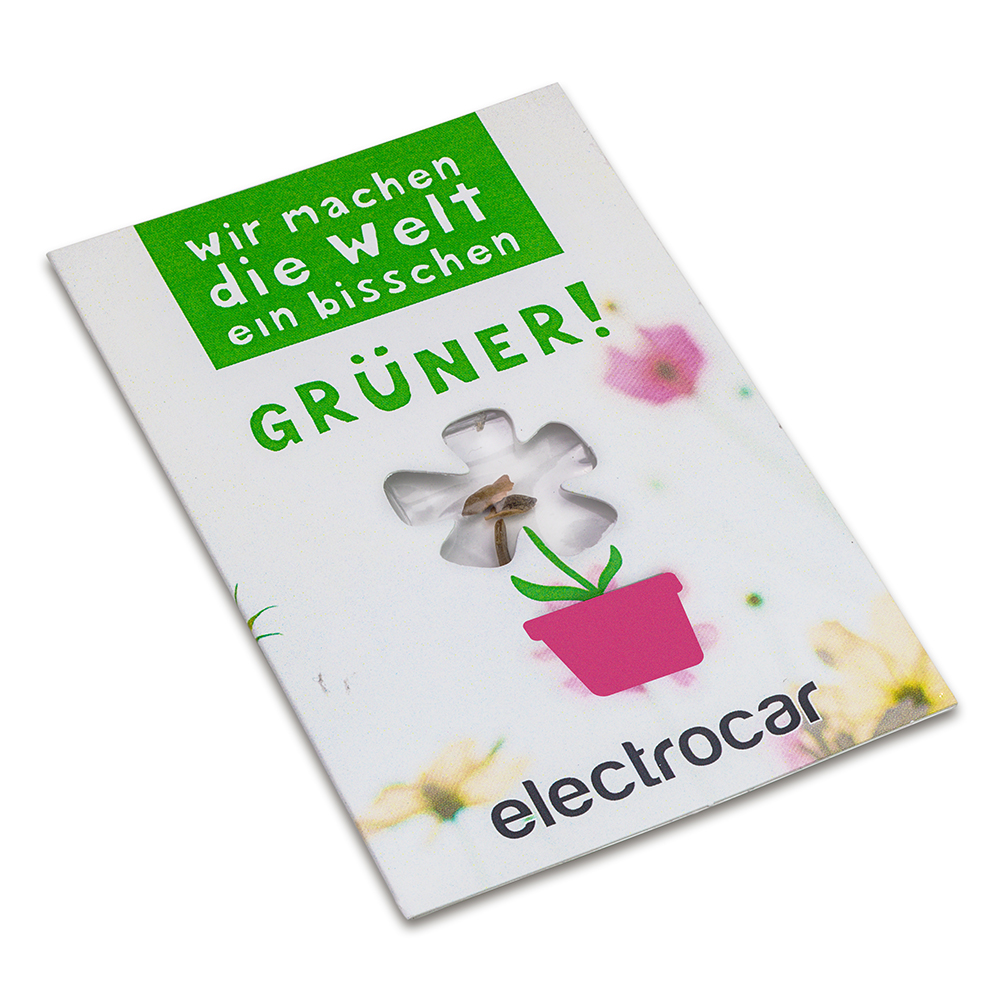 Samen-Karte-Mini Blume - Sommerblumenmischung