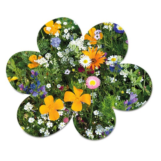 Samenpapier in Klappkärtchen - Blümchen