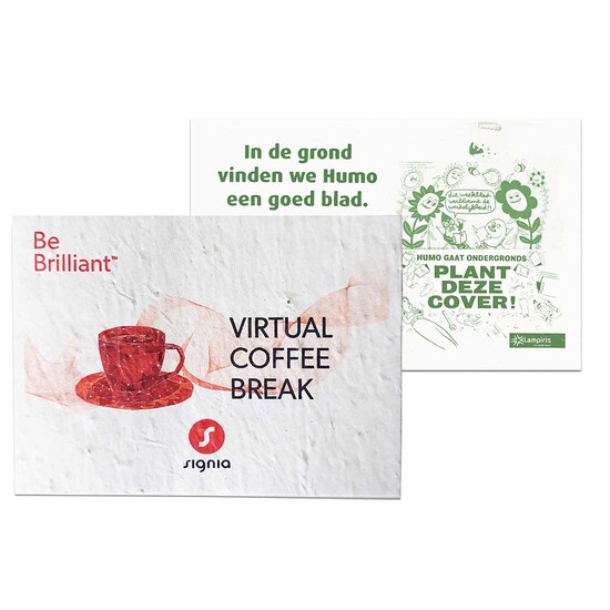 Samenpapier DIN A6 - Thymian, Druck 4/0-c