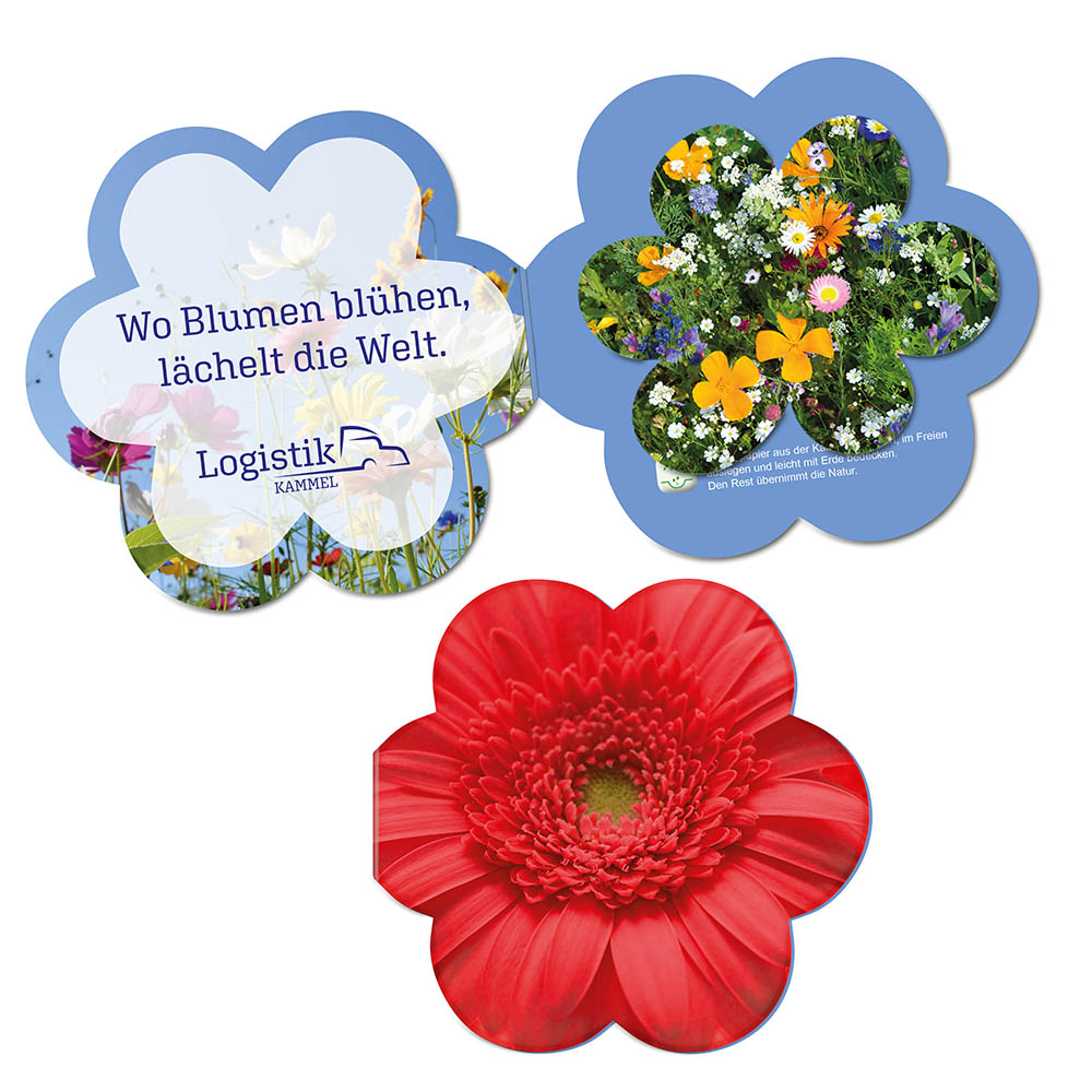 Samenpapier in Klappkärtchen Blume - Blümchen