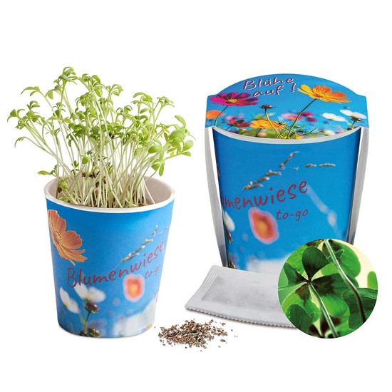 Blumenwiese To-Go - Ostern - Glücksklee-Zwiebel(* Je nach Verfügbarkeit der Glücksklee-Zwiebeln) - neutral