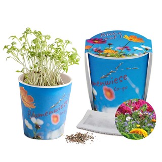 Blumenwiese To-Go - Ostern - Sommerblumenmischung - neutral