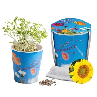 Blumenwiese To-Go - Ostern - Sonnenblume - neutral