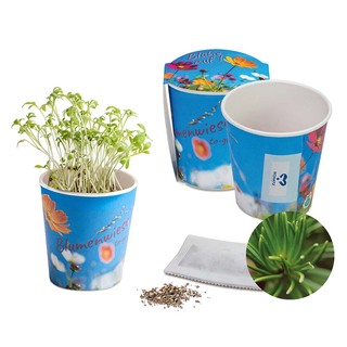 Blumenwiese To-Go - Ostern - Fichte - neutral mit 1-c Logoeindruck