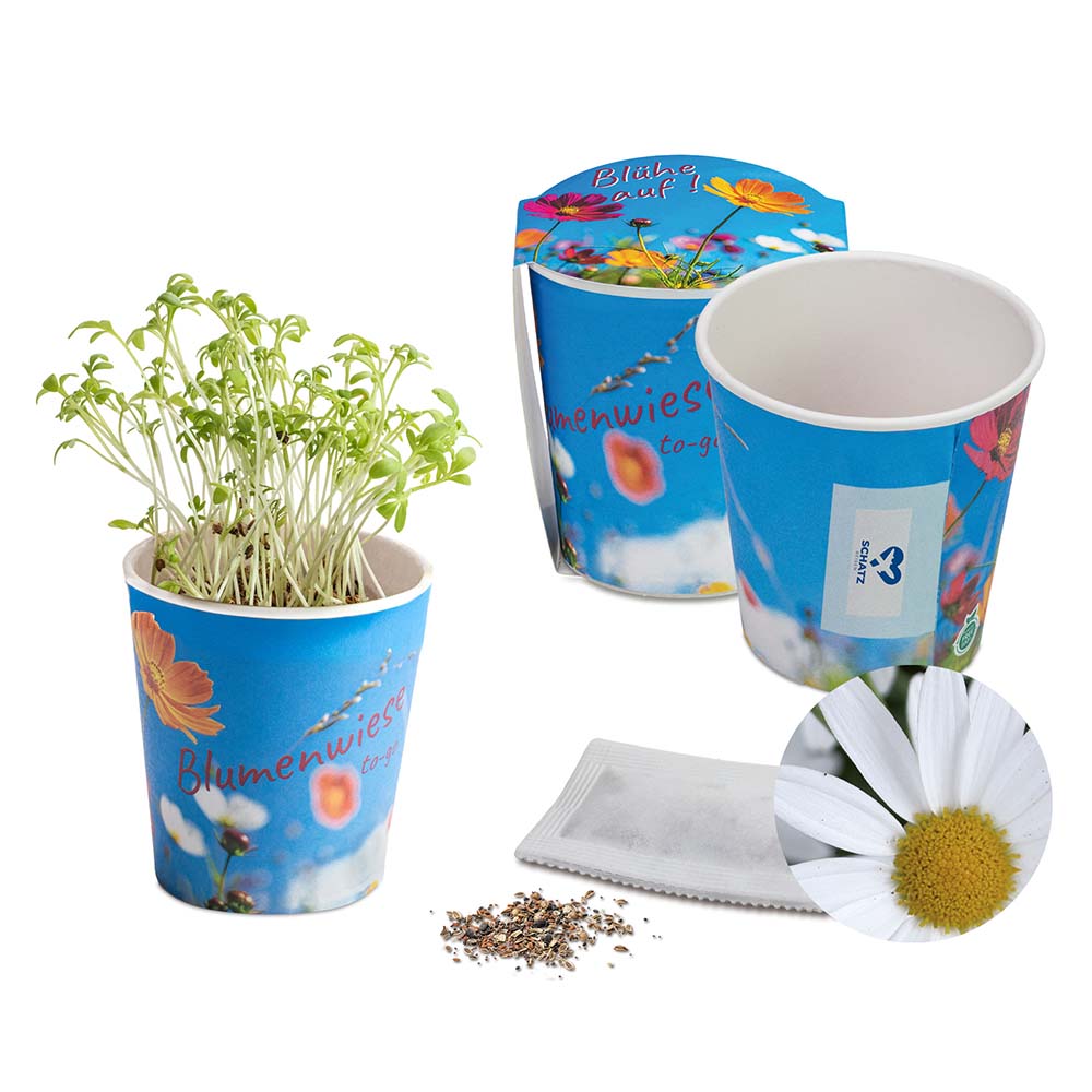 Blumenwiese To-Go - Ostern - Margerite - neutral mit 1-c Logoeindruck