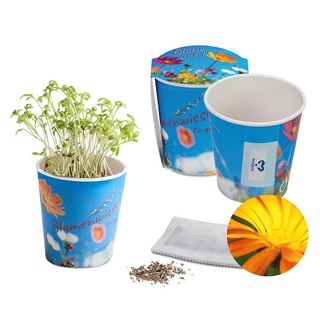 Blumenwiese To-Go - Ostern - Ringelblume - neutral mit 1-c Logoeindruck