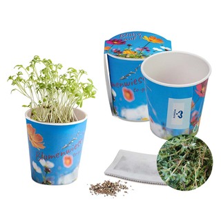Blumenwiese To-Go - Ostern - Thymian - neutral mit 1-c Logoeindruck