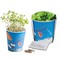 Blumenwiese To-Go - Ostern - Basilikum - Druck individuell 4/0-c