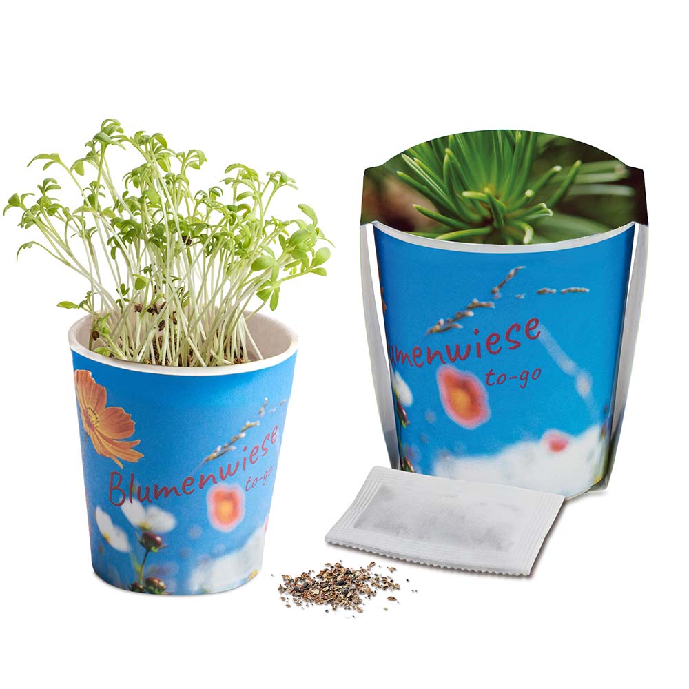 Blumenwiese To-Go - Ostern - Fichte - Druck individuell 4/0-c