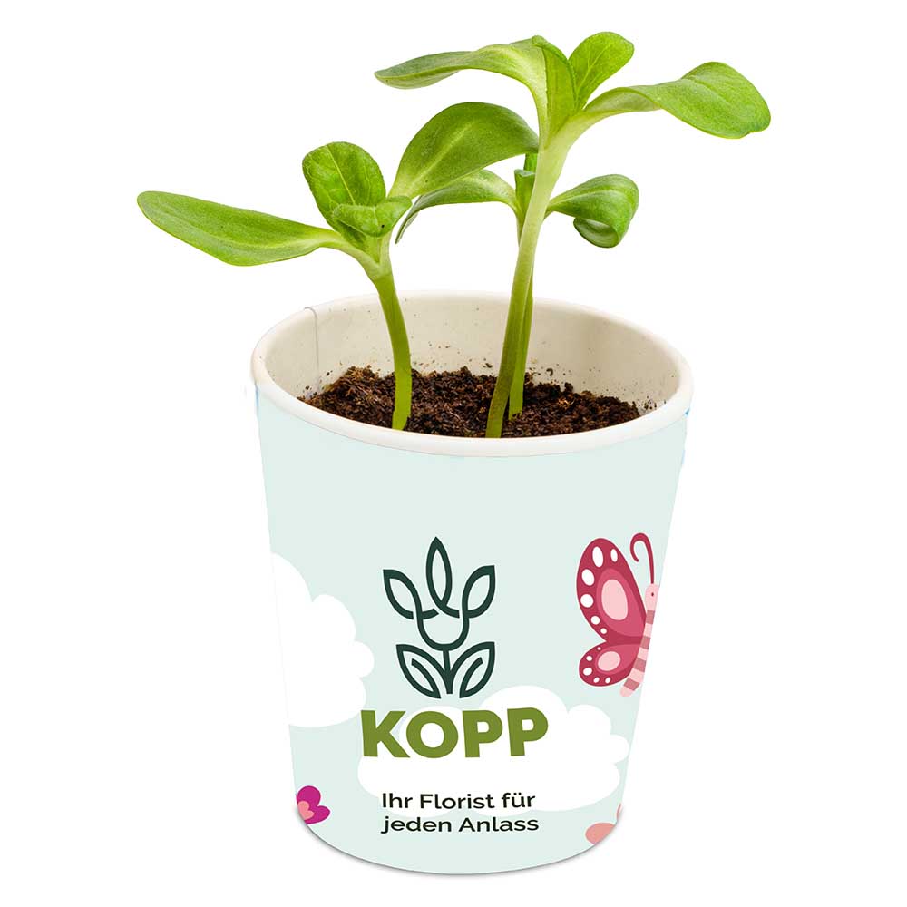 Blumenwiese To-Go - Ostern - Fichte - Druck individuell 4/0-c