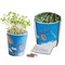 Blumenwiese To-Go - Ostern - Thymian - Druck individuell 4/0-c