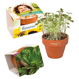 Logo-Töpfchen Komplettbanderole mit Samen - Fichte