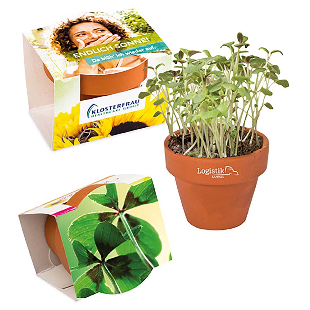 Logo-Töpfchen Komplettbanderole mit Samen - Glücksklee-Zwiebeln (* Je nach Verfügbarkeit der Glücksklee-Zwiebeln)