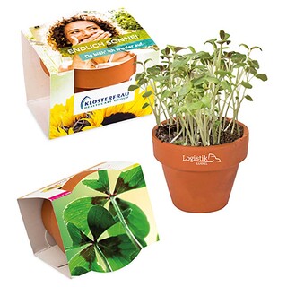 Logo-Töpfchen Komplettbanderole mit Samen - Glücksklee-Zwiebeln (* Je nach Verfügbarkeit der Glücksklee-Zwiebeln)