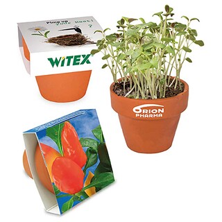 Logo-Töpfchen Banderole mit Samen - Gewürzpaprika