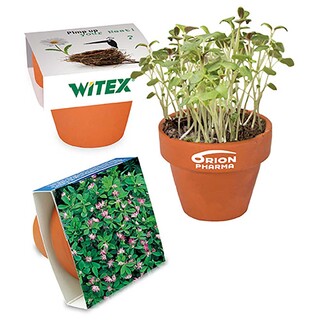 Logo-Töpfchen Banderole mit Samen - Persischer Klee