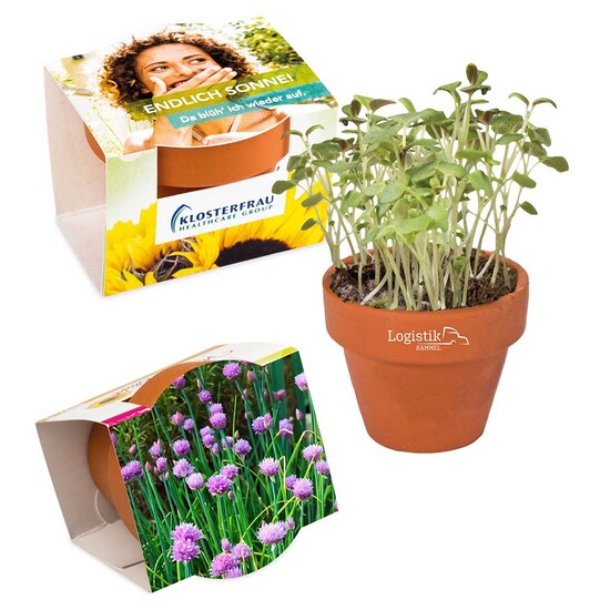 Logo-Topf mit Samen - teracotta - Schnittlauch