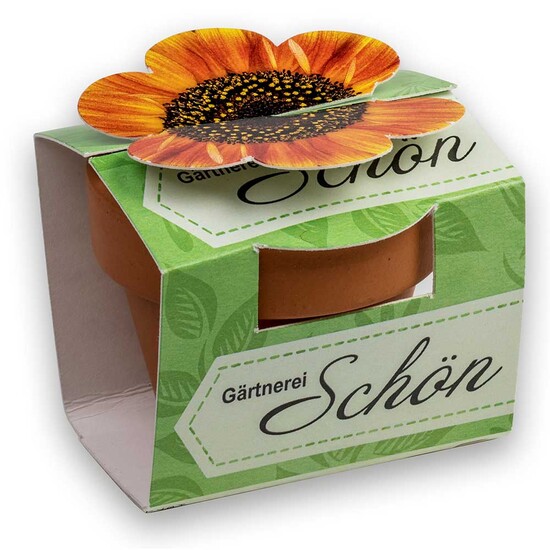 Tontöpfchen-Blume mit Samen - Persischer Klee