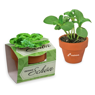 Tontöpfchen-Blume mit Samen - Petersilie inkl. Tampondruck