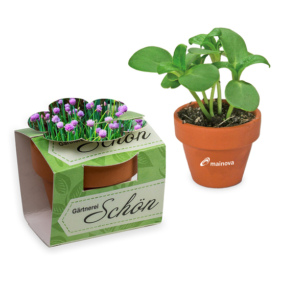 Tontöpfchen-Blume mit Samen - Schnittlauch inkl. Tampondruck