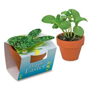 Tontöpfchen-Hase mit Samen - Gartenkresse