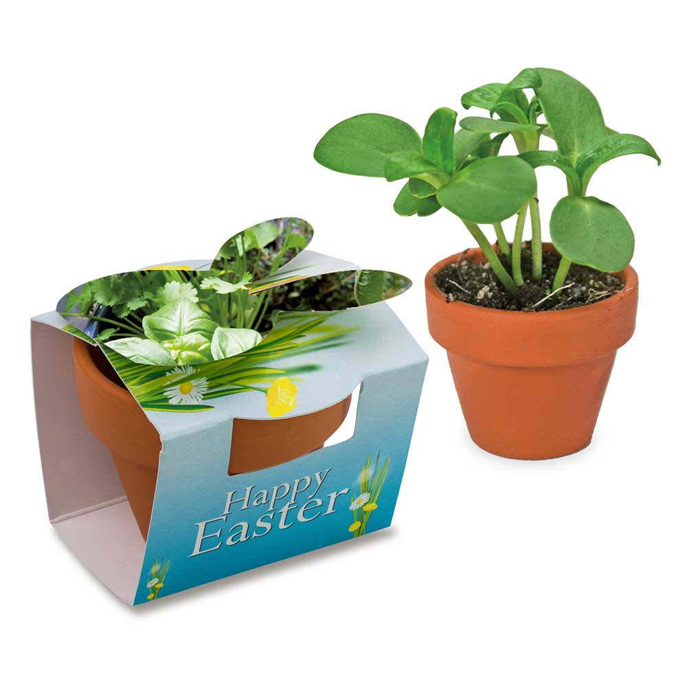 Tontöpfchen-Hase mit Samen - Kräutermischung