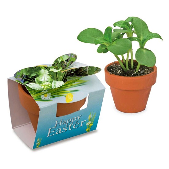 Tontöpfchen-Hase mit Samen - Kräutermischung