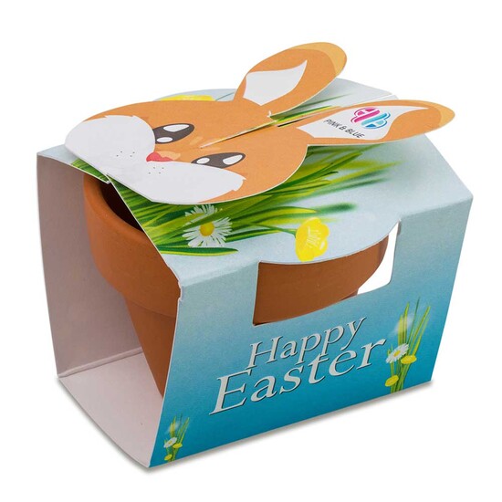 Tontöpfchen-Hase mit Samen - Schnittlauch