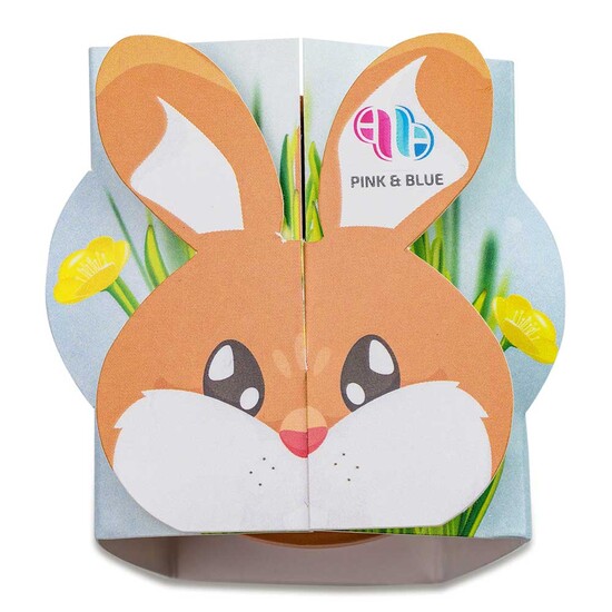 Tontöpfchen-Hase mit Samen - Vergissmeinnicht