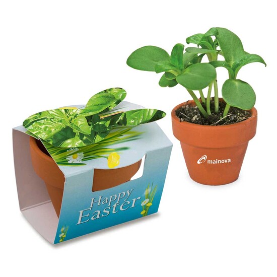 Tontöpfchen-Hase mit Samen - Basilikum inkl. Tampondruck