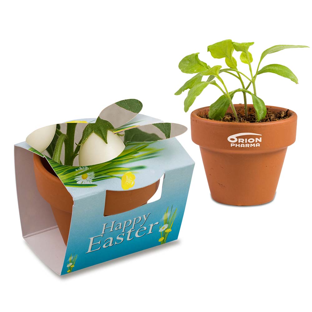 Tontöpfchen-Hase mit Samen - Eierbaumsamen inkl. Tampondruck