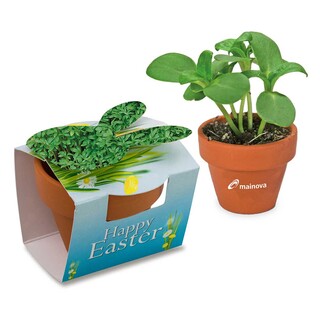 Tontöpfchen-Hase mit Samen - Gartenkresse inkl. Tampondruck