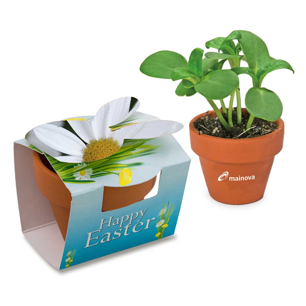 Tontöpfchen-Hase mit Samen - Margerite inkl. Tampondruck