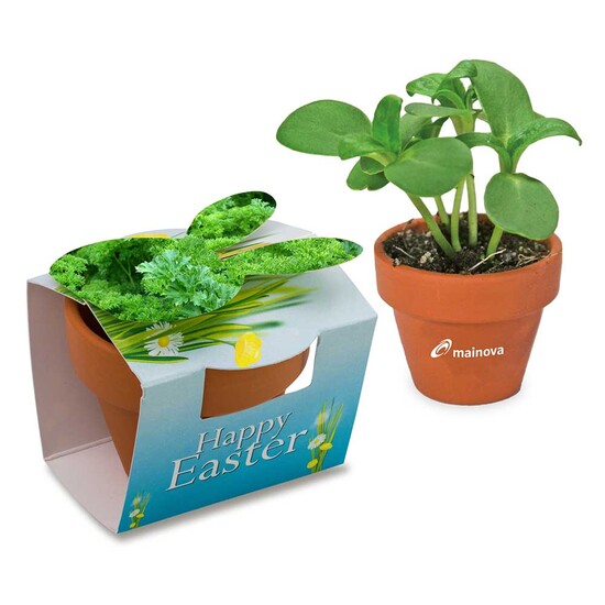 Tontöpfchen-Hase mit Samen - Petersilie inkl. Tampondruck