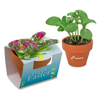 Tontöpfchen-Hase mit Samen - Sommerblumenmischung inkl. Tampondruck