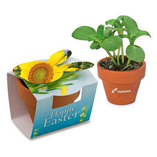 Tontöpfchen-Hase mit Samen - Sonnenblume inkl. Tampondruck