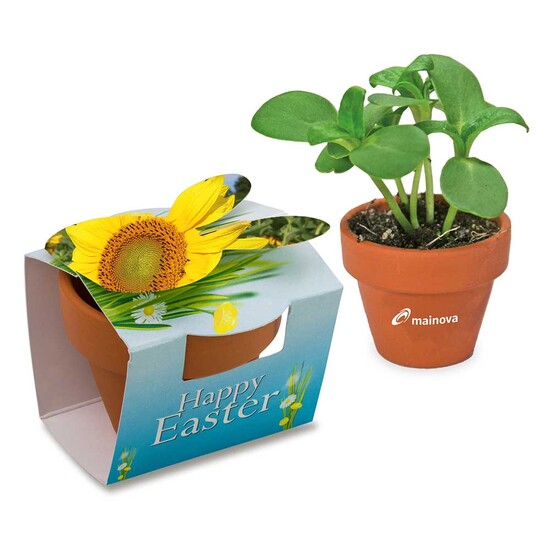 Tontöpfchen-Hase mit Samen - Sonnenblume inkl. Tampondruck