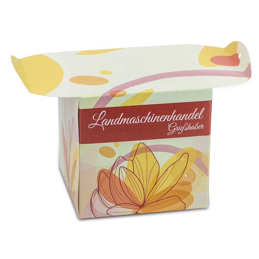 Blumenampel - Schnittlauch