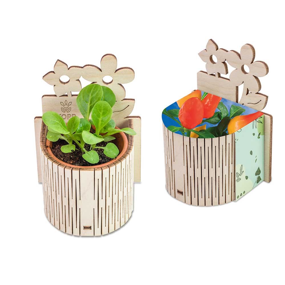 My Tiny Garden Blümchen - Gewürzpaprika