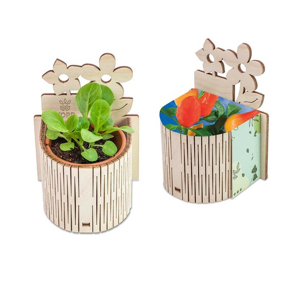 My Tiny Garden Blümchen - Gewürzpaprika