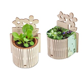 My Tiny Garden Blümchen - Kräutermischung